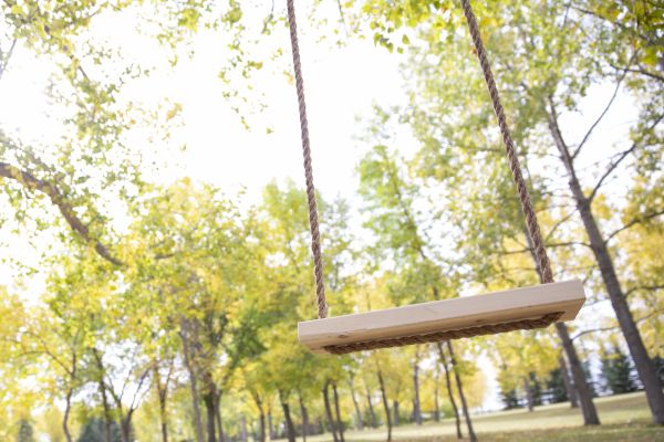 Tree Swing Installation in San Angelo