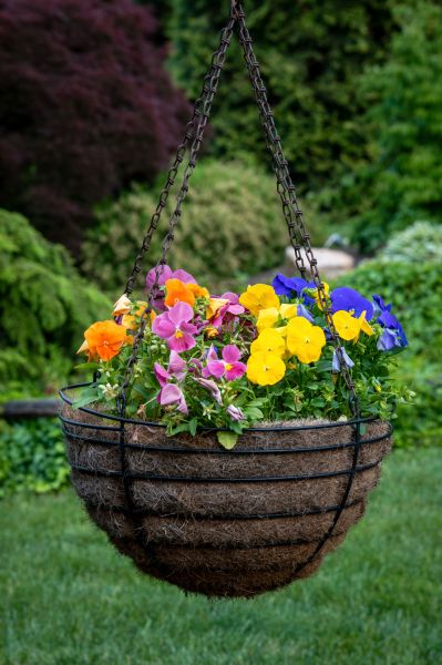 Hanging Basket Installation in San Angelo