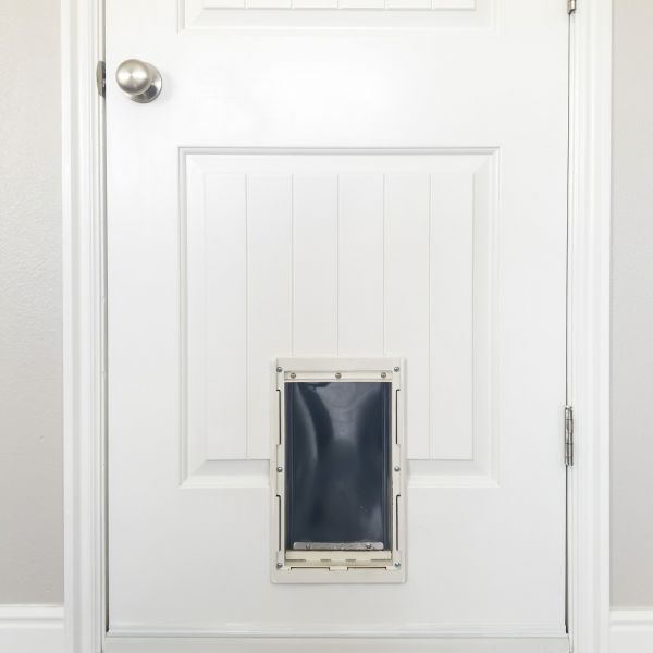 Pet Door Repair in San Angelo