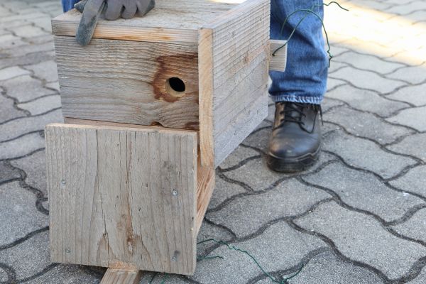 Birdhouse Mounting in San Angelo