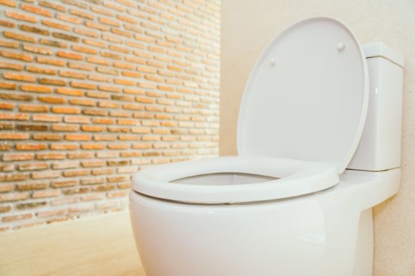 Toilet Seat Repair in San Angelo