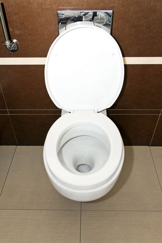 Toilet Lid Installation